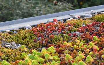the cost of Kingsheanton green roof installation