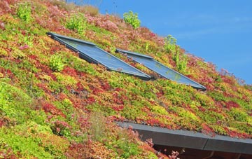 Kingsheanton living roof systems